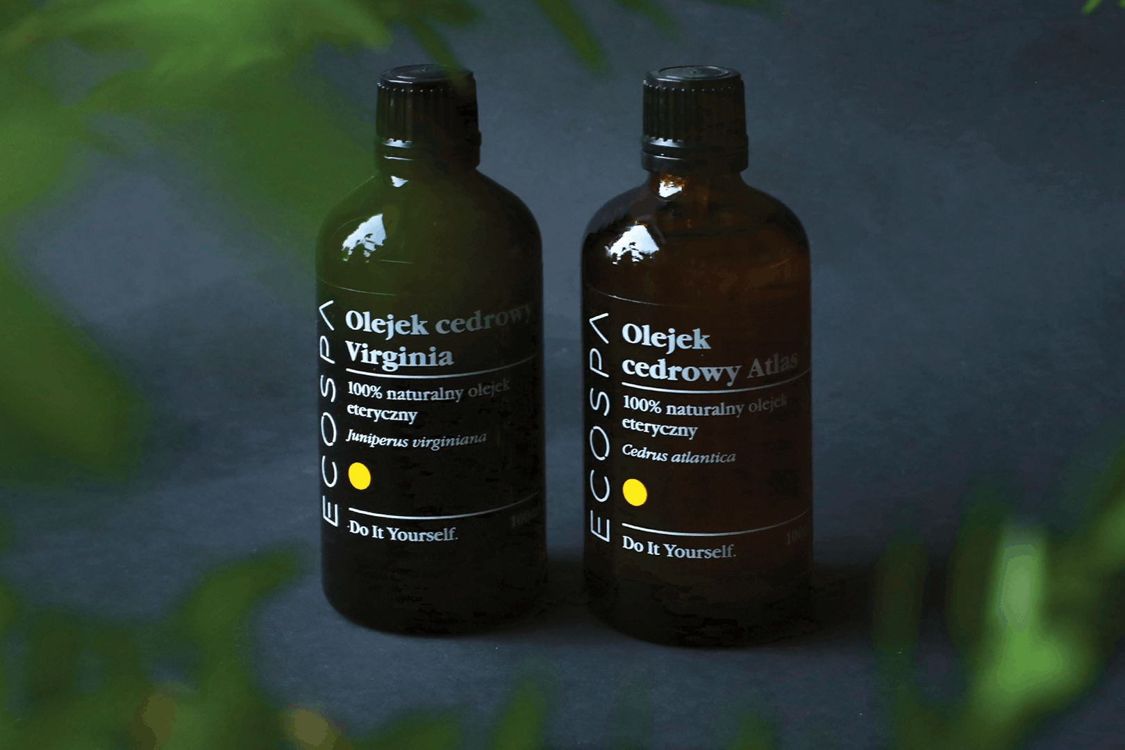 Właściwości i zastosowanie olejku cedrowego