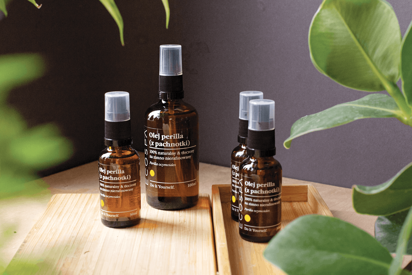 Olej perilla z pachnotki – dlaczego kobiety go uwielbiają?