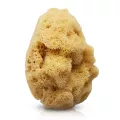 Naturalna gąbka morska Silk 12 - 13 cm
