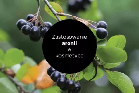 Aronia w kosmetyce – jakie ma zastosowanie?